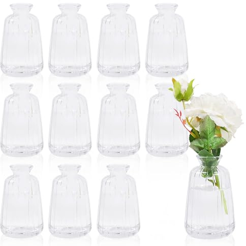 Kleine Vasen für Tischdeko, 12 Stück Mini Glasvasen Klar Blumenvase Klein für Hochzeit Tischdeko(11× 6,5cm)