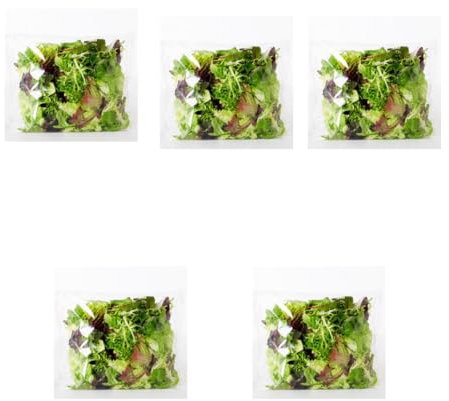 Fresh Crisp I Salad bags I Prewashed I Convenient and Nutritious I Pack of 5