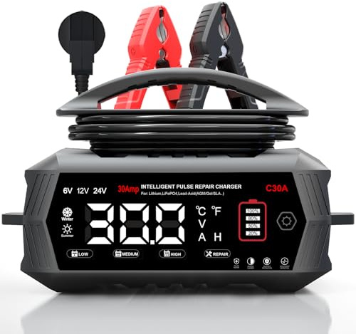 HTRC 30A Carica Batteria per Auto, 6V/12V/24V Caricabatterie Lifepo4, Caricabatterie Auto per Auto con Display LCD, Carica Batteria Auto per Barche SUV Litio LiFePo4 e Piombo Acido(AGM, GEL, WET)