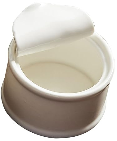 Healifty Ramequins Plats De Cuisson Céramique Ustensiles Pour Desserts Bols De Cuisson Pour Puddings Et Mousses