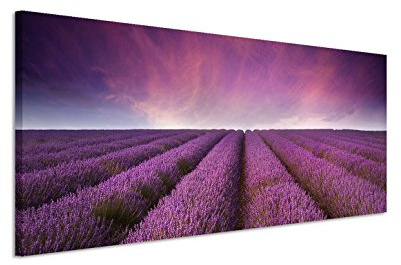 150x50cm Leinwandbild auf Keilrahmen Lavendel Feld Sonnenuntergang Wandbild auf Leinwand als Panorama