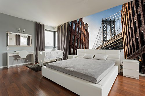 Fotomural Vinilo Pared New York Varias Medidas 350x250cm | Decoración de comedores, Salones | Motivos Paisajisticos | Urbes, Naturaleza, Arte| Multicolor | Diseño Elegante|