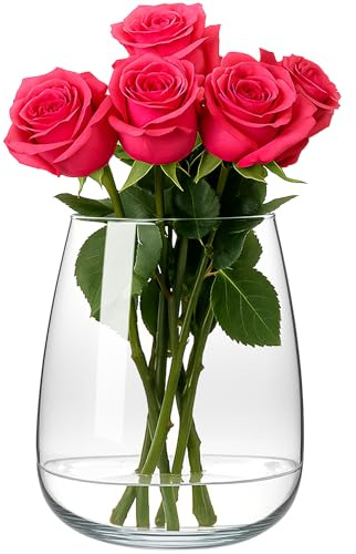 KONZEPT – Glasvase groß (23 cm hoch, Ø 19 cm) – transparentes, hochwertiges Glas, Stabiler Boden – Blumenvase ideal für Dekorationen, für frische, künstliche & getrocknete Blumen