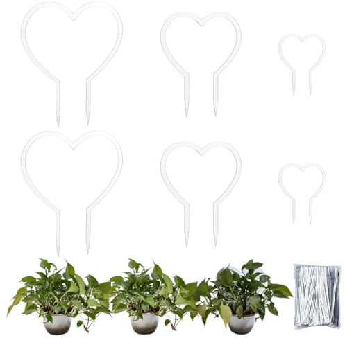 DELORIGIN 6 x Herz Pflanzengitter Für Kletterpflanzen. Acryl Zimmerpflanzen Spalier Für Monstera Efeututen Pflanzenstütze Für Topfpflanze Ranke Efeu Hoya