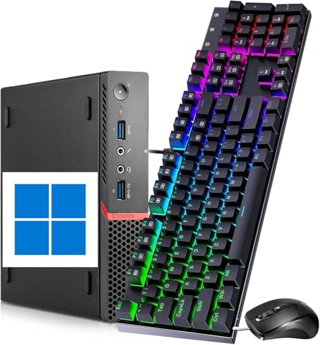 Lenovo ThinkCentre M700 Mini-Ordinateur de Bureau, Intel Core i5-6400, 8 Go de RAM DDR4, 256 Go de SSD, Prise en Charge 4K, US Clavier QWERTY, Win11 Pro (Rénové)