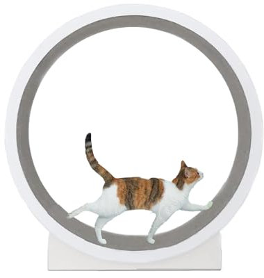 Katzenlaufräder für Hauskatzen, Katzenlaufrad mit leiser Laufbahn, Katzenlaufband, Katzenlaufrad, Katzenmöbel für gesundes Fitnesstraining, einfach zusammenzubauen
