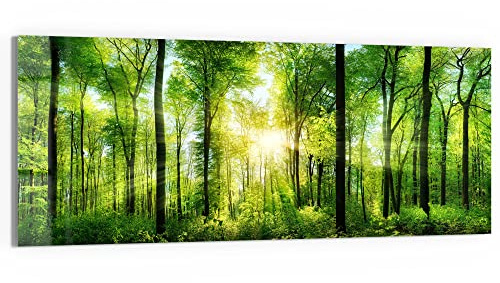 DEQORI Glasbild Echtglas | Motiv Sonne durchbricht Wald | horizontal einteilig 150x60 cm | schöne Dekoration | Wandbild für Wohnzimmer, Schlafzimmer, Flur & Küche | moderne Wanddeko