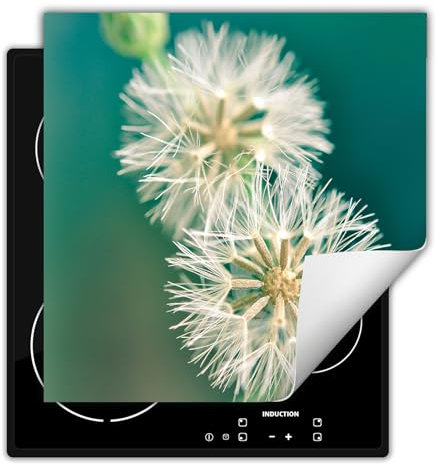 TMK ArtDeko Herdabdeckplatte 50x52 cm Einteilig Küche Herdabdeckung Induktionsfeld Ceranfeld Herdabdeckplatten Vinyl Matte Aufrollbar - Blumen Türkis