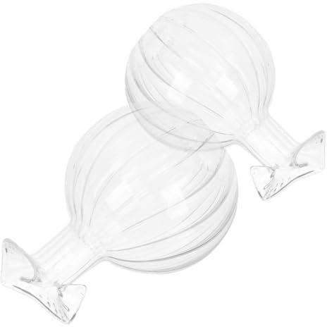 PRETYZOOM 2pièces Vase Verre Forme de Lot de Vases à Bourgeons Transparents Style Vintage pour Décoration Intérieur Plantes Individuelles