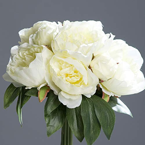 Pfingstrosenbund mit 8 Blüten 36cm weiß-Creme DP - künstliche Pfingstrosen – Naturgetreuer Pfingstrosenstrauß – 8 einzeln verwendbare Stiele – Weiße Seidenblumen für Hochzeit, Vase & Tischdeko