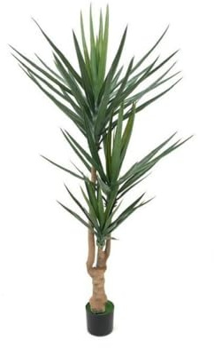 Indomita Pianta Artificiale Yucca 180h 79 Foglie con Vaso
