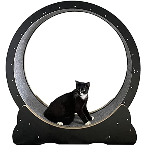 Löpband för katter, Ljudlös kattträningsmaskin for inomhuskatter, löpband for katter(Black,M)