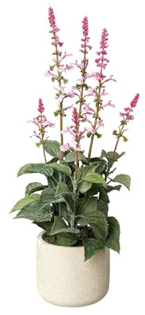 CREATIV green künstlicher Salbei 45cm im Zementtopf mit Blüten I künstlicher täuschend echter Salbeibusch mit rosa Blüten I Deko Salbei für Innen I hochwertige Dekopflanze I Kunstpflanze im Topf