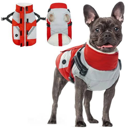 Hundemantel für Kleine Hunde, Winterjacke Hund Wintermantel Kleine Hunde Regenmantel Hundepullover Kleine Hunde Hundemantel Chihuahua(Rot, XS)