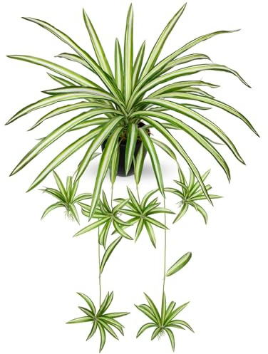 GnFlus Fake Hanging Plant, Faux Spider Plant in Pot Artificial Grass Plants Faux Chlorophytum Comosum Potted Plants for Home Office Table Shelf Desk Kitchen Bathroom Bedroom Decor Cyan and White
