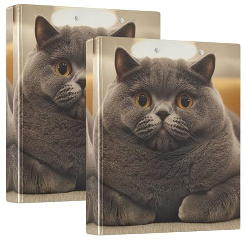 Chubby British Shorthair Print 3 Ring Binders 1.5 Inch Hold 200 Sheets Patterned Notebook Folders Round Ring View Binder, 12.4x10.63x2.36inch, 2 Pack