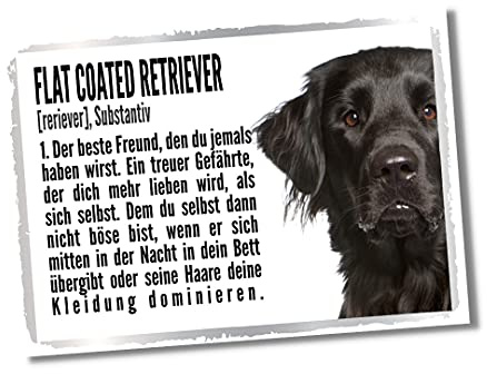 Flat Coated Retriever Duden Hund Dog Schild Spruch Türschild Hundeschild Warnschild Fun Geschenkidee lustiger Spruch Hundemotiv Aluminium Wetterfestes Hundeschild