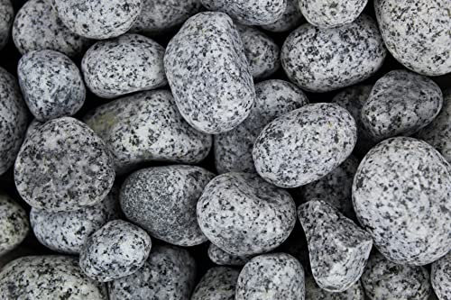 25 kg de galets glacier Royal non lavés Grain 25-40 mm Gravier de marbre granit Royal marbre galets décoratifs pierres décoratives jardin