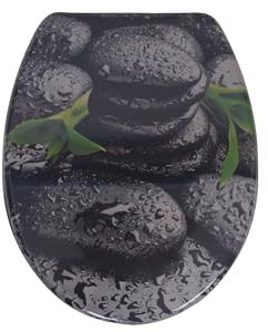 sanicomfort WC-Sitz, Duroplast, mit Absenkautomatik, Toilettensitz passend für alle handelsüblichen WC-Becken (Light Shine)