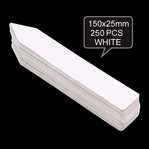 CHICIEVE Lot de 250 étiquettes en plastique étanches 2,5 x 15 cm de long pour plantes de jardin, crèches, jardinières, étiquettes réutilisables 250 Pcs White
