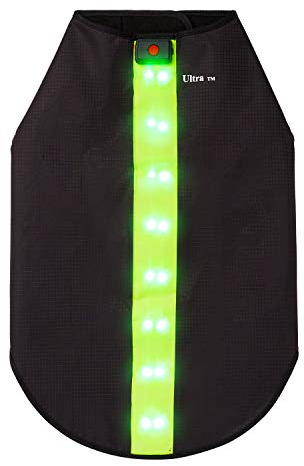 Groß Grün Haustier Kleidung led Hundemantel Einstellbar A ufladbarAtmungsaktiv Wasserabweisen Hundewarnweste led Hundeweste Reflektierend led Jacke Hunde Weste led Regenmantel Hund Wasserdicht