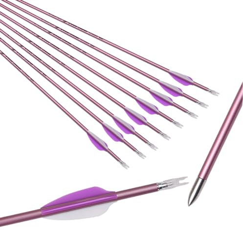 ACCMOS 6 Stück Hellviolette Feder Pfeile ID 4,2 mm Spine 800 Jagdpfeil 28 Zoll Carbonpfeil, für Bogen & Pfeil Schießen (Spine 800, 28inch)