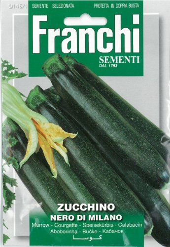 Franchi Courgette - Zucchino Nero di Milano