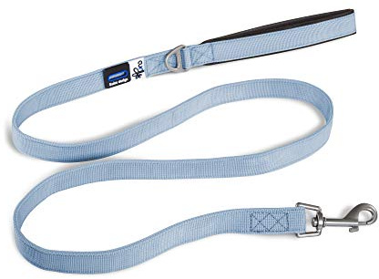 Basic Leash Skyblue L