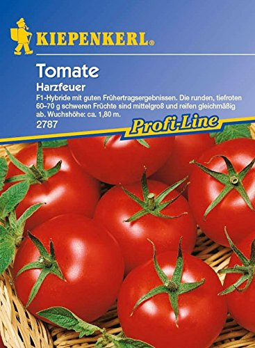 Kiepenkerl, Tomaten Harzfeuer