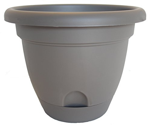 Bloem Living LP0860 Lucca Self-Watering Planter, 8-Inch, Peppercorn
