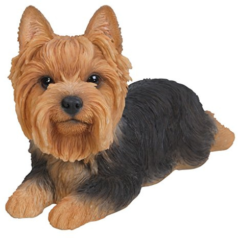 Hi-Line Gift Ltd Statue de Chien Yorkshire Terrier en résine couché