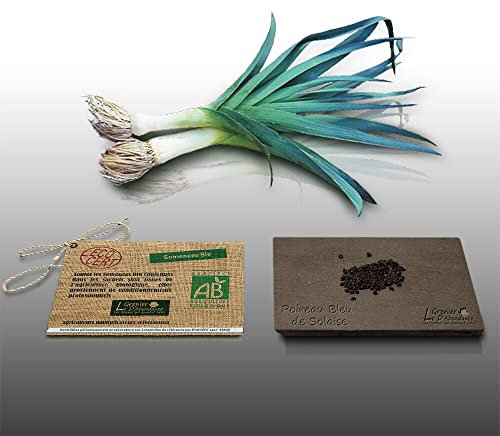 100 graines Bio à semer - Le Grenier d'Abondance - POIREAU Bleu de Solaise - Certifié AB - Allium porrum