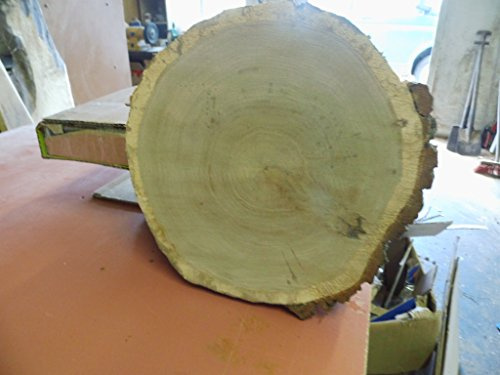 Baumscheibe, Holzscheibe,ca. 40 x 5 cm, basteln, Holz,Eiche