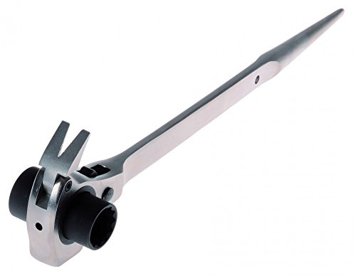 Projahn 2319221 - Chiave a cricchetto per ponteggi, da 19 x 22 mm, con martello e levachiodi integrati