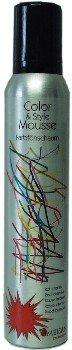 Omeisan Color & Style Mousse Schwarz, Farbschaum 200ml