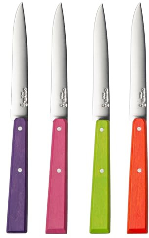 Opinel - Boîte de 4 Couteaux de Table N°125 Bon Appétit Pop - Lame Acier Inox - Manche Charme - Fabrication Française - Violet, Vert Pomme, Fuchsia, Mandarine