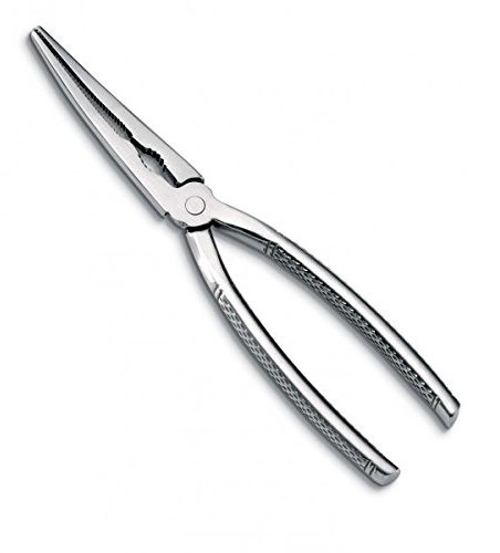 Ausonia - Pinza in acciaio inox per l'apertura di scampi e aragoste