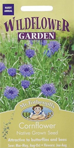 Mr Fothergill's 24823 Flower Seeds, Cornflower