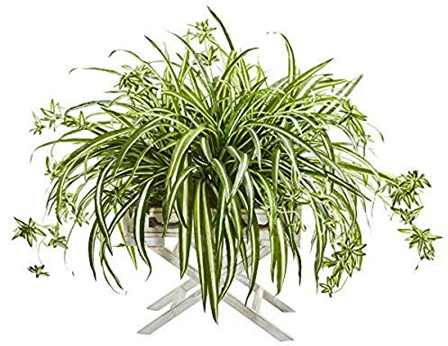 Nearly Natural 35-in. Spider Artificial Drawer Stand Planter Silk Plants Green