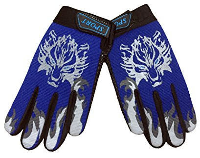 EurHouse Radhandschuhe Kinder Winterhandschuhe Fahrrad Handschuhe Fingerhandschuhe Reithandschuhe Jungen Mädchen Warme Thermo Fäustlinge Anti Slip (Blue)