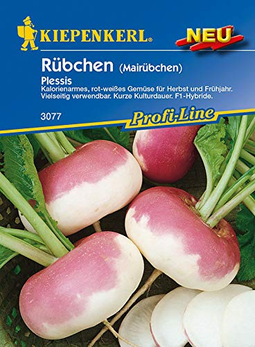 Kiepenkerl 3077 Mairübchen Plessis F1 (Rübensamen)