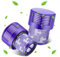 2 Pezzi Filtro Compatibile con Dyson V10, SV12 Cyclone Animal Absolute Aspirapolvere, Accessori Originale Filtri, Cyclone Aspirateur, Lavabile Motorhead con Spazzola di Pulizia Sostituire