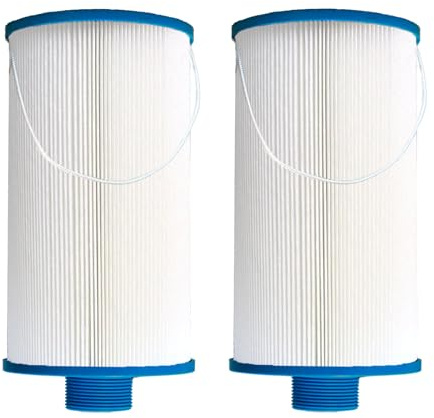 YANHUA Filtro de spa de repuesto para Watkins 303279. Filbur FC-2402, PFF42TC-P4, AquaTerra Hot filtro de bañera, rosca fina MPT de 1/2, fácil de limpiar (2 unidades)