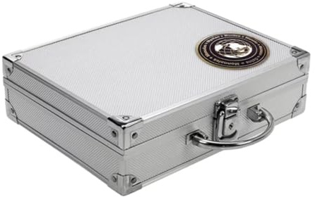 SAFE 176 ALU Münzkoffer für über 200 Münzen | Sammelkoffer aus Aluminium | Ideal für Euro-Münzen Gedenkmünzen UVM. | 210 x 78 x 256 mm