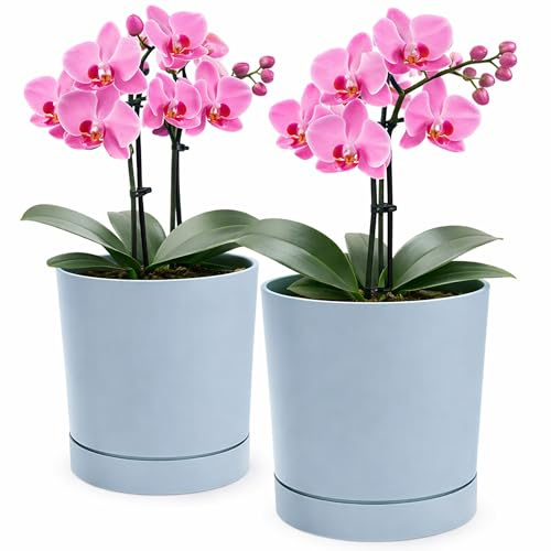 PECZEKO Vaso da fiori opaco, vaso per piante da sovravaso in plastica, vaso decorativo per piante grandi e piccole, set da 2 vasi per fiori, vaso per erbe aromatiche (confezione da 2), grigio, ø 18 cm