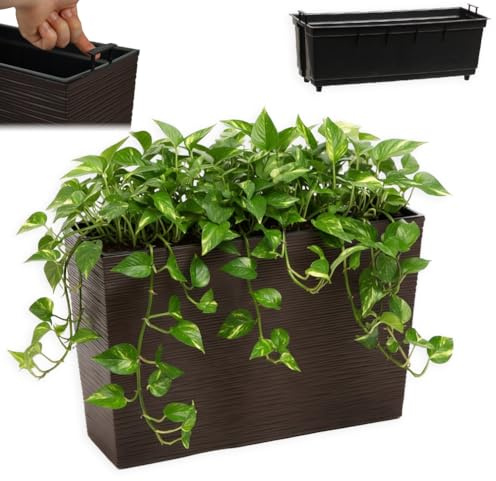 FEINZ Vaso Da Fiori Alto E Stretto Con Inserto 19x56 cm, Marrone | Irrigazione, Per Balcone/Terrazza/Giardino, Resistente Intemperie, Facile Da Pulire, Moderno