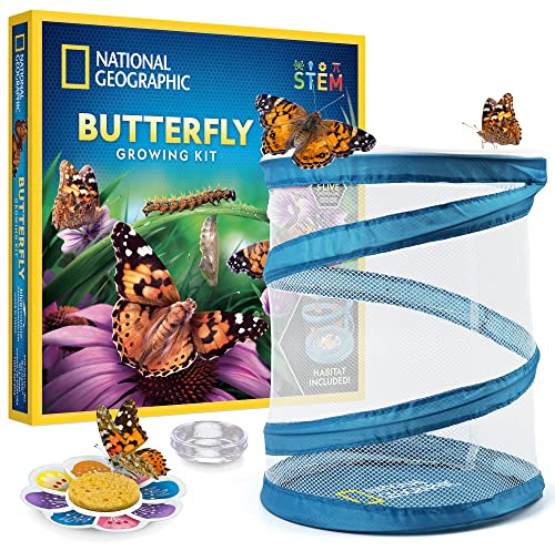 National Geographic Butterfly Growing Kit - Butterfly Habitat Kit with Voucher to Redeem 5 Caterpillars (S&H Not Included), Butterfly Cage, Feeder (Amazon Exclusive)