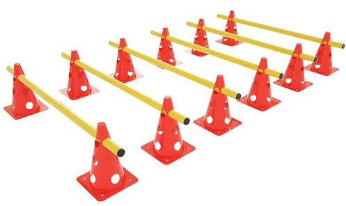 XMTECH 5tlg Steckhürdenset Sports Steckhürdenset 12 Kegel + 6 Stangen für Koordinationstraining,Hürden Steckhürden Set, Agility Set Hindernisse für Kinder, Hunde, Pferde Höhe: 32 cm, Stange: 100 cm