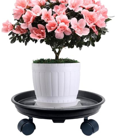 Supporto per Piante con Ruote Vaso Portavasi Mobile | Vassoio Portavaso per Fiori Agrumi Interno Esterno Serra