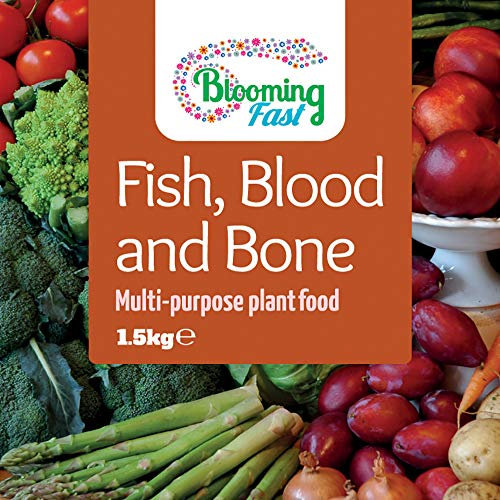 YouGarden Blooming Fast Fish Blood & Bone, Organic Fertiliser, 1.5kg Resealable Tub